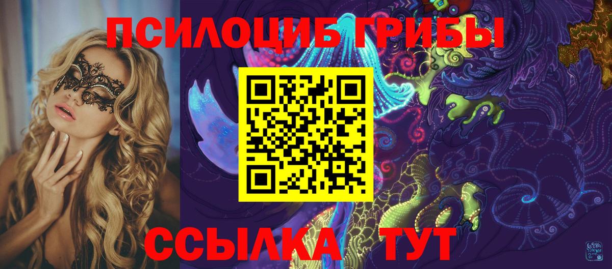 Псилоцибиновые грибы Psilocybine cubensis Михайловка