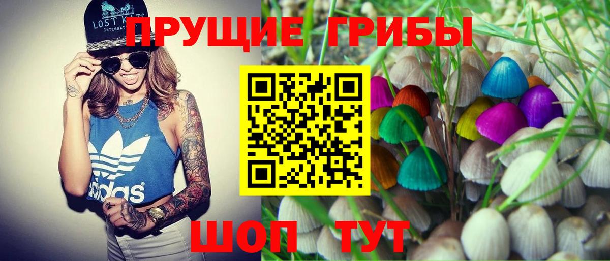 цена наркотик  Псилоцибиновые грибы Cubensis  Вход с VPN  Михайловка 